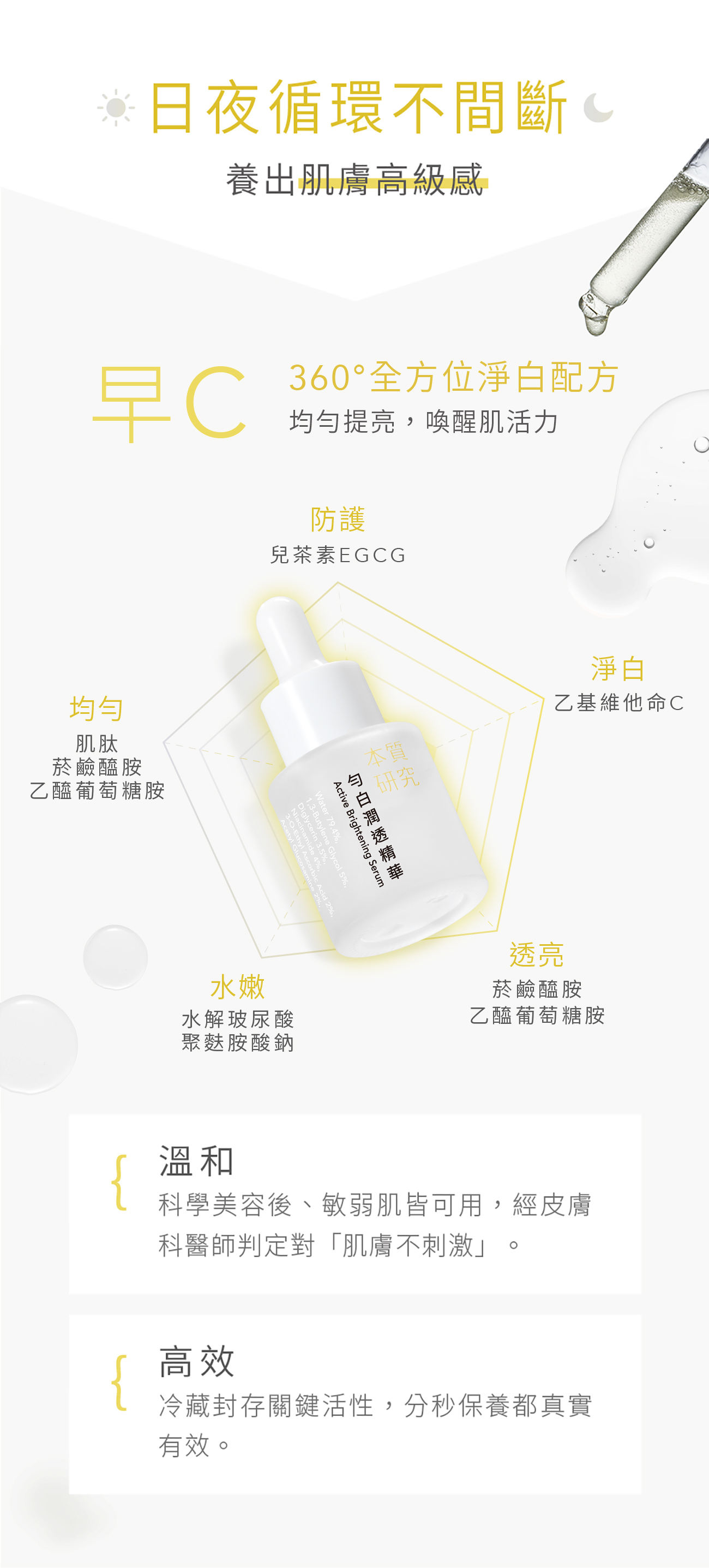 本質研究早C晚A-04