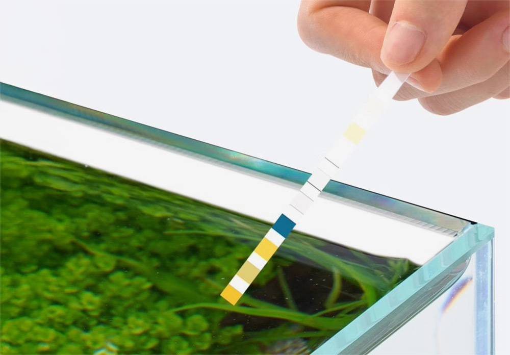 透過即時掌握水質狀況，飼主能及時調整水環境，有效保持魚隻的健康與活力，避免疾病爆發