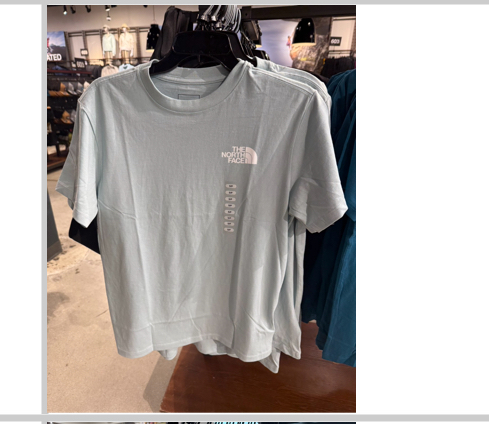 The North Face 北臉 女款 背後大Logo 短袖上衣 短T