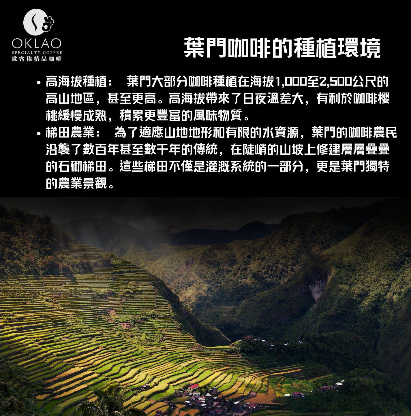 葉門咖啡 摩卡咖啡 葉門摩卡 葉門摩卡咖啡 單一產地 葉門咖啡產區 咖啡產區 單品咖啡豆 精品咖啡 咖啡知識
