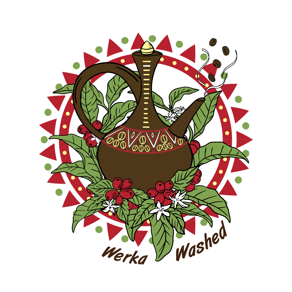 衣索比亞 神燈系列 沃卡 香妃 水洗 G1