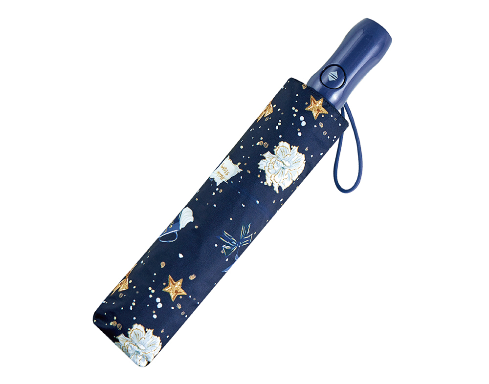 【RAINSTORY】Starry Life抗UV雙人自動傘(藍)