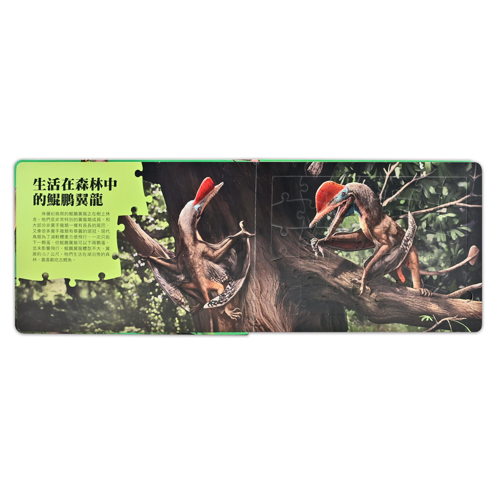 PNSO翼龍知識百科拼圖