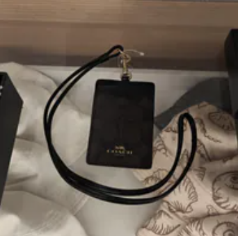 [S] COACH IM/WALNUT/BLACK CZ285 LNYRD ID SIG CNVS, 196395662913 (SCO1189)