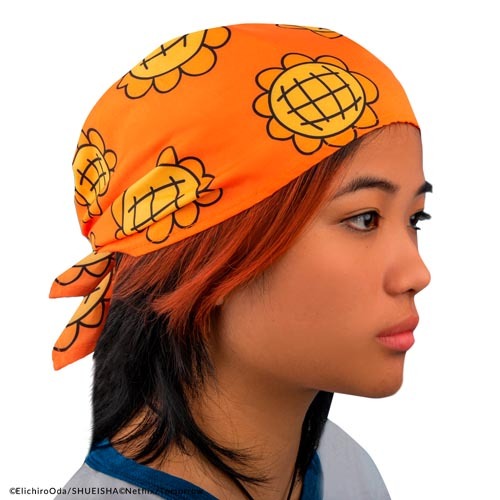 海賊王頭巾與貝里硬幣組