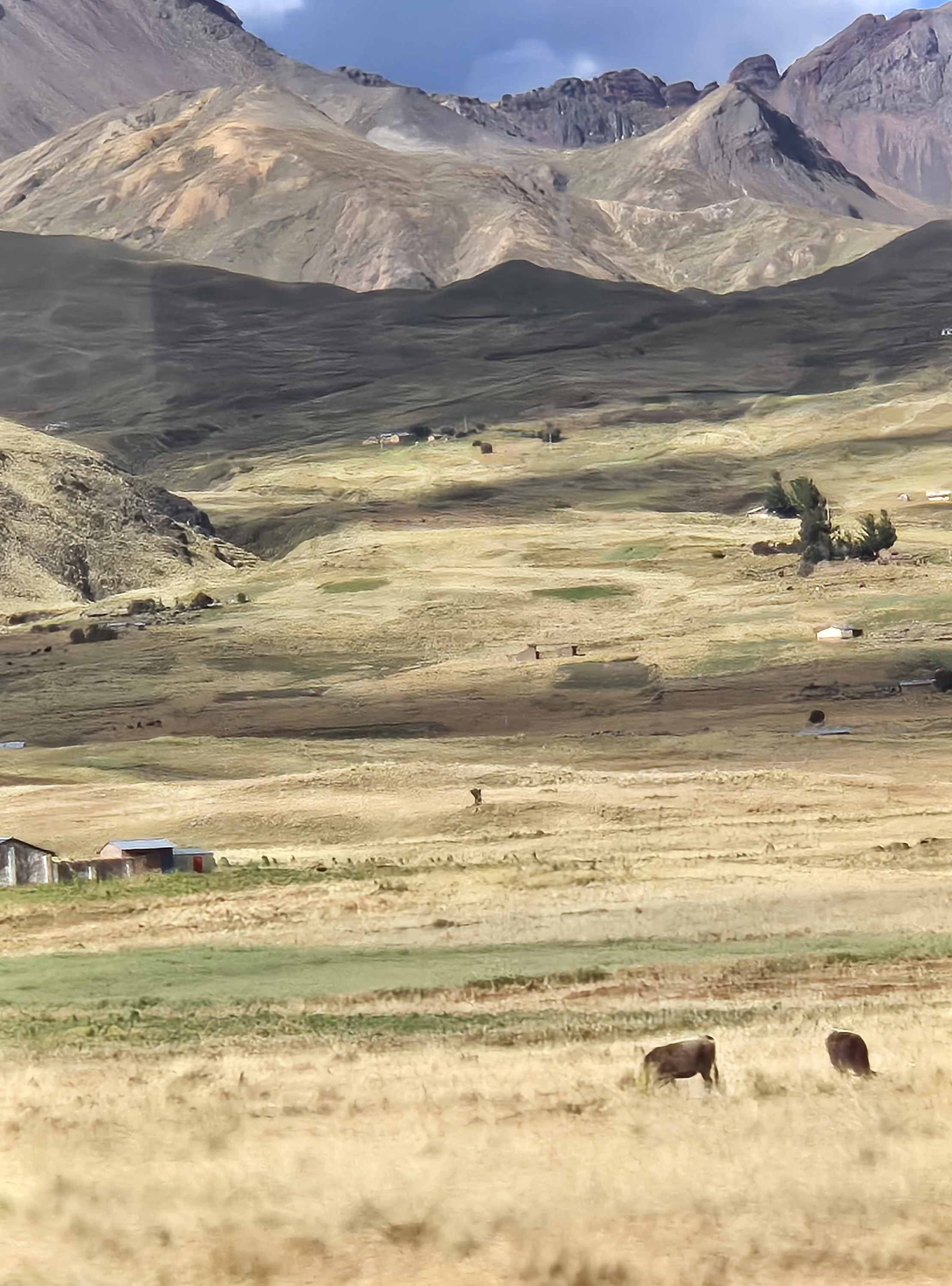 PO-28085 加購品與主商品共用庫存