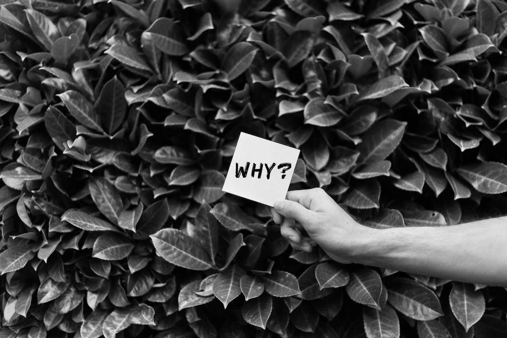 食材的問題與回答首頁