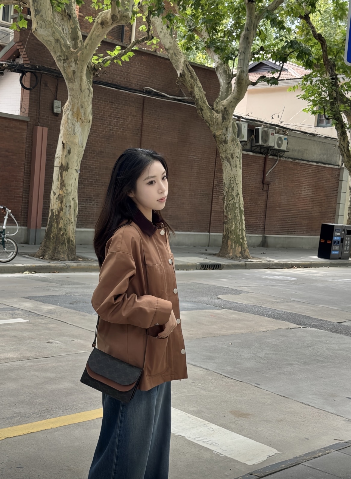 Celine Wallet on strap Woc tan