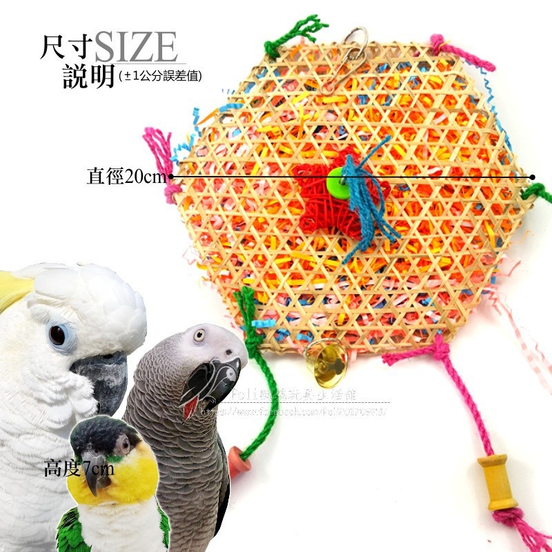 鸚鵡益智解悶 六角形拉絲玩具 波力鸚鵡玩具生活館