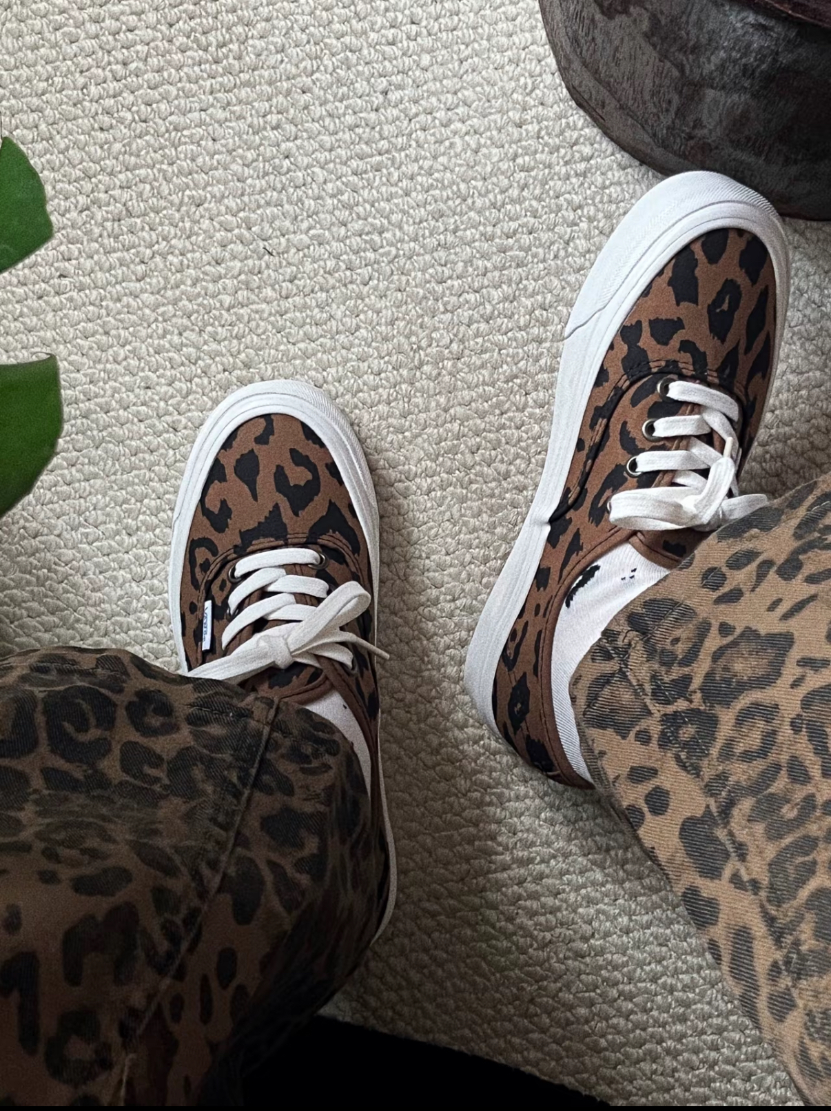 Vans Authentic 44 DX 豹紋 咖啡 滑板 帆布鞋 VN0A38ENVL01/預購