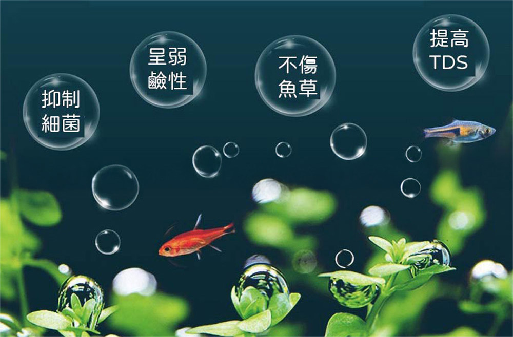 添加本產品能產生魚體保護黏膜，預防黴菌與寄生蟲侵害，並為魚類提供保護膜