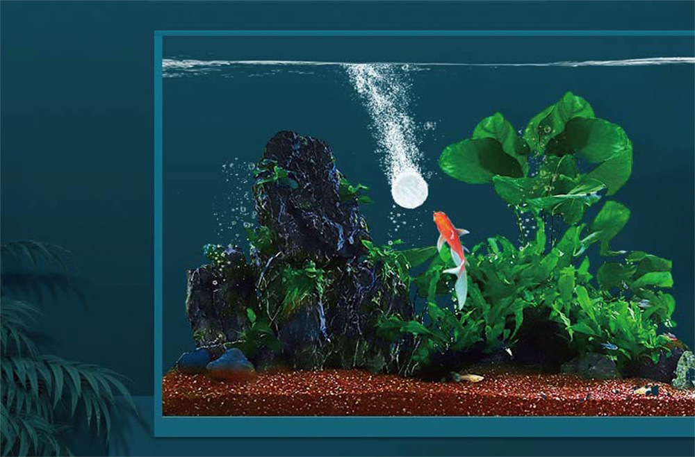 新魚入缸常有不安感,本產品能有效舒緩緊張,促進魚隻更快適應環境