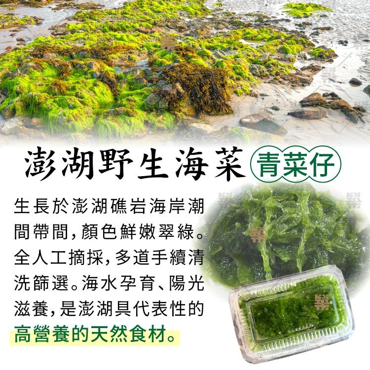 青菜仔－人工撿拾，多道清洗過濾風乾，澎湖天然野生手採海菜