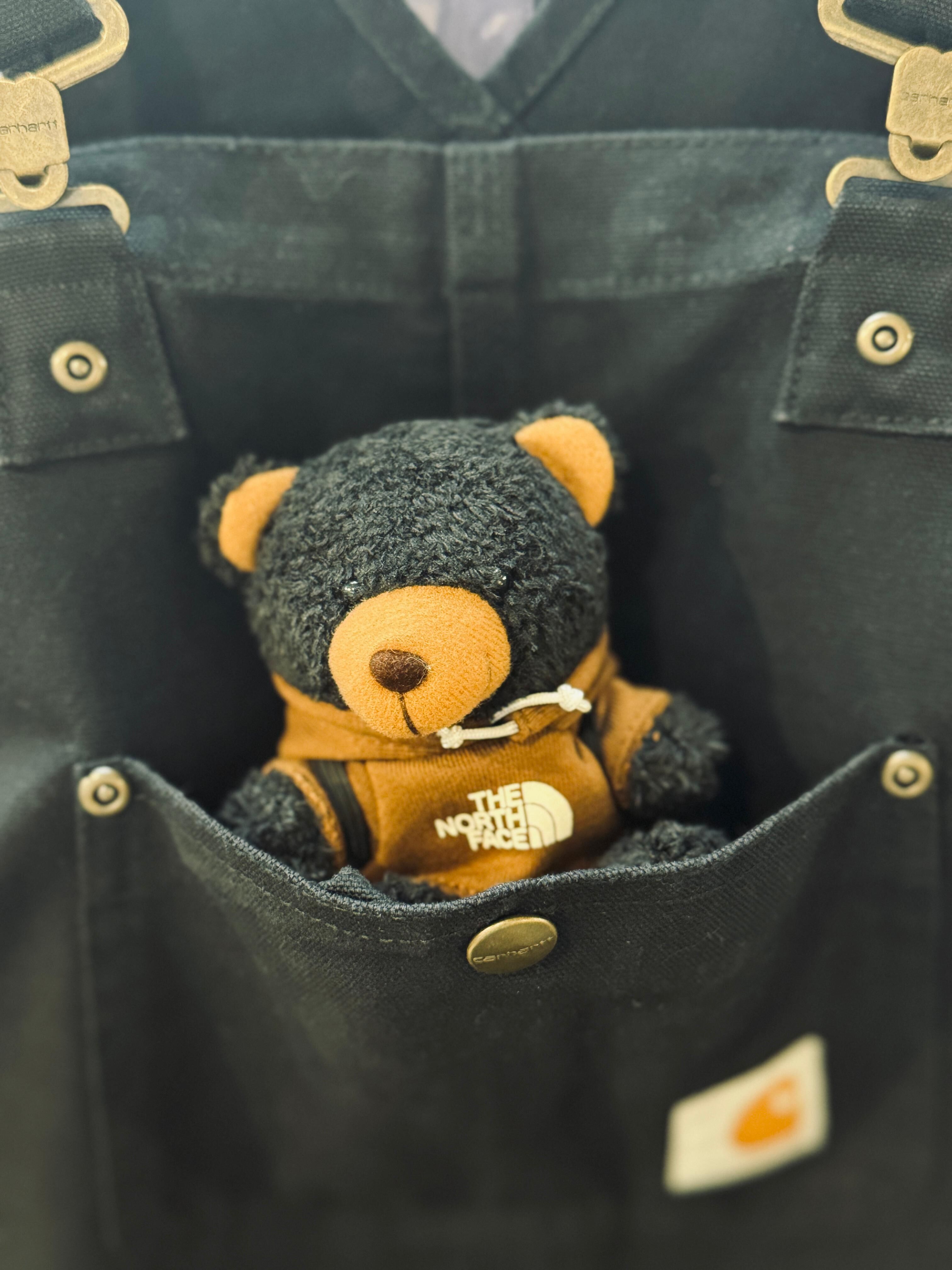The North Face Teddy Bear Black