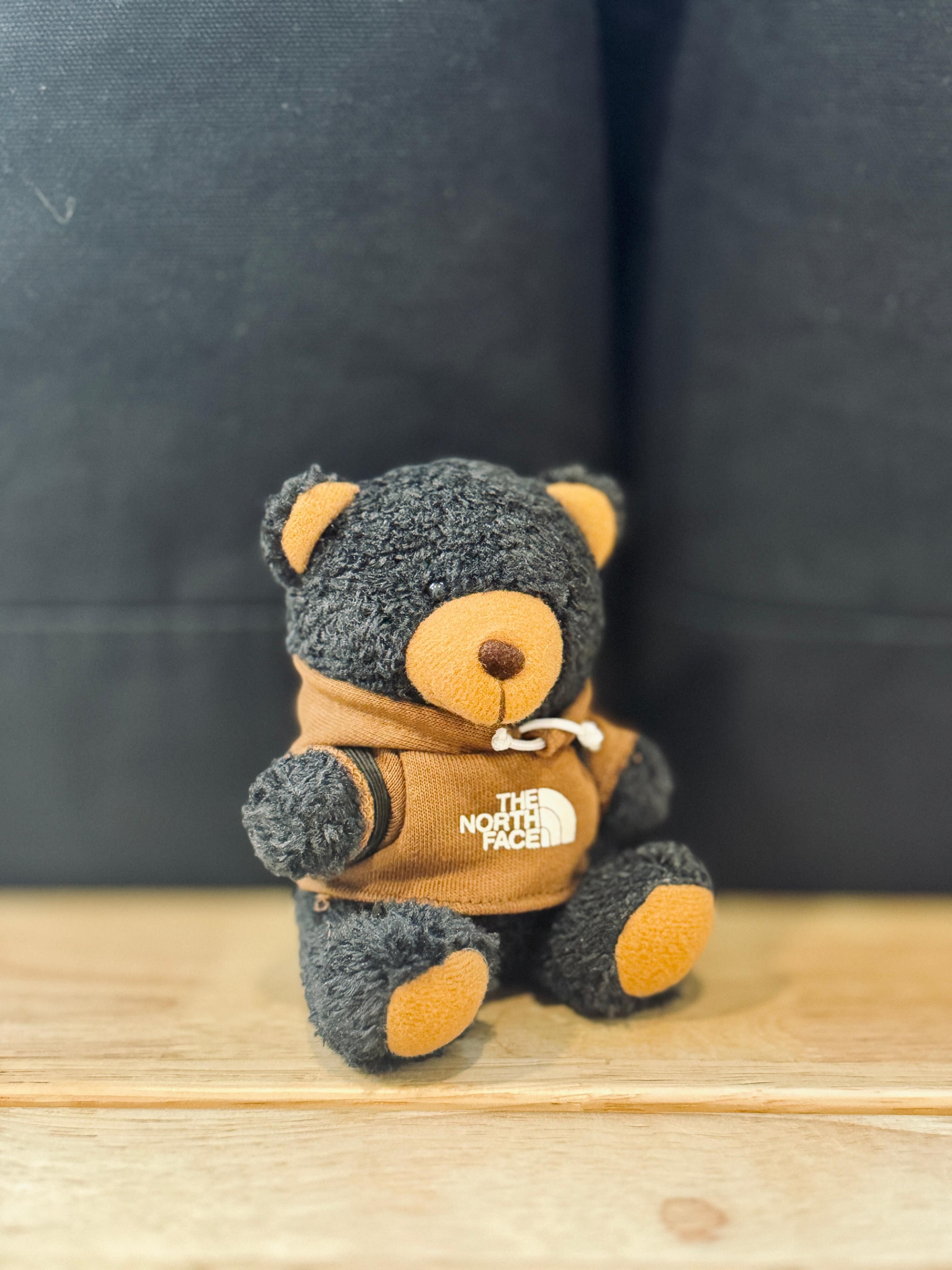 The North Face Teddy Bear Black