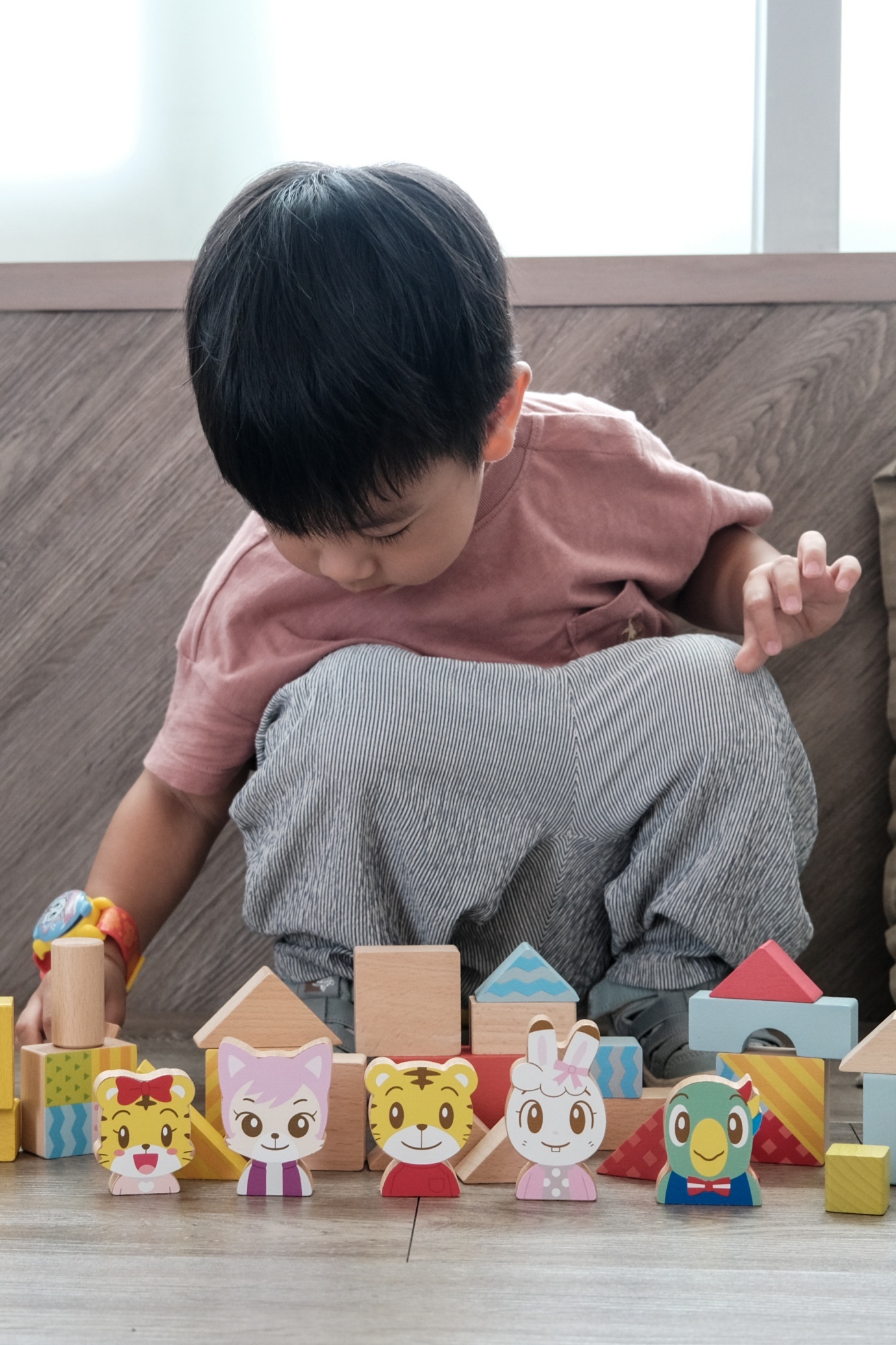 巧虎成長積木