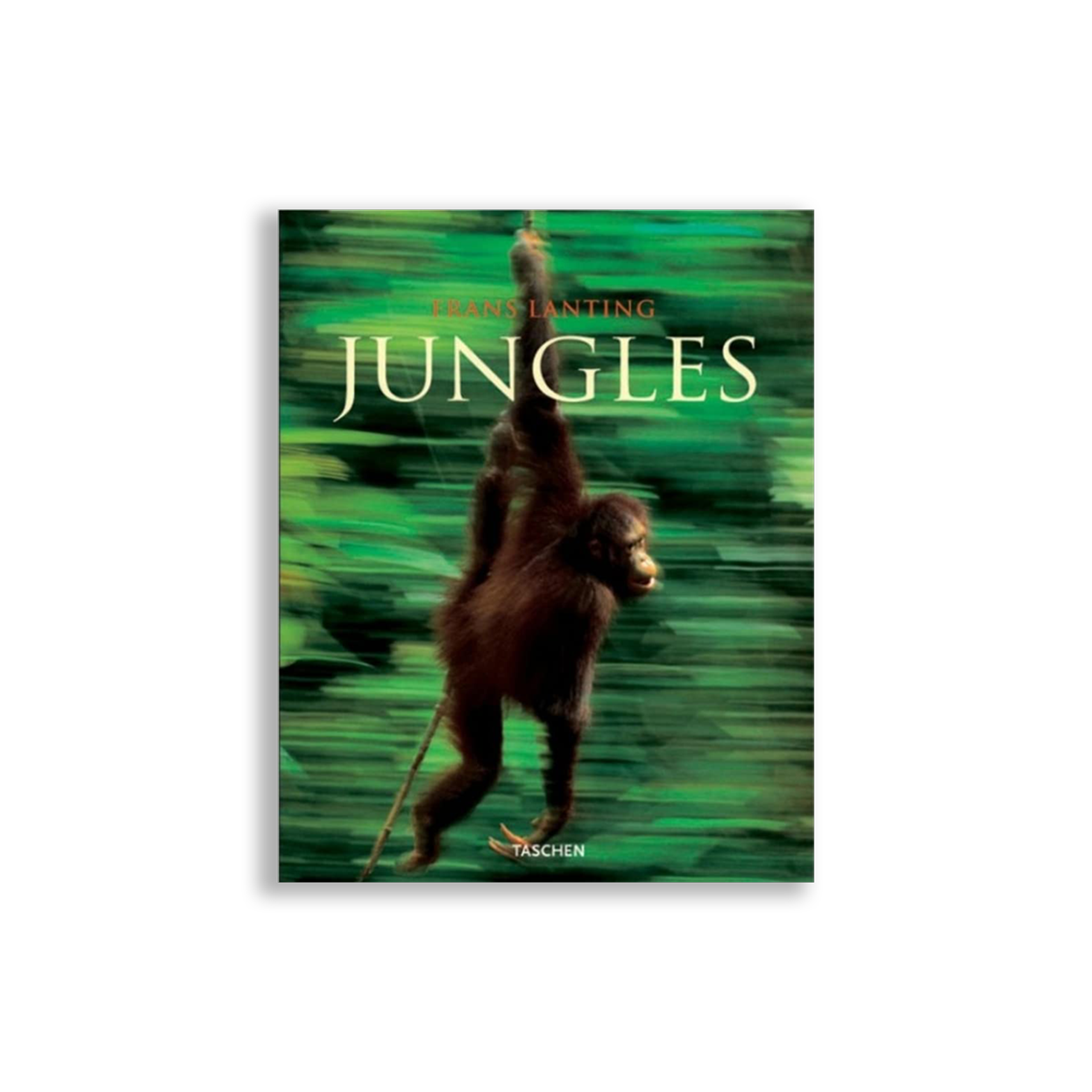 JUNGLES