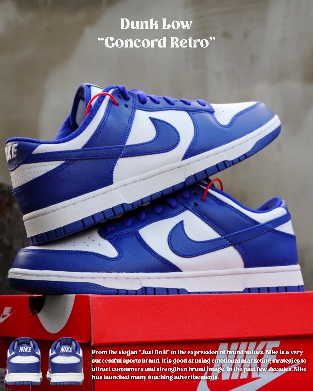 #現貨 Nike Dunk Low "Concord" 復古鞋 紫藍白 DV0833-103