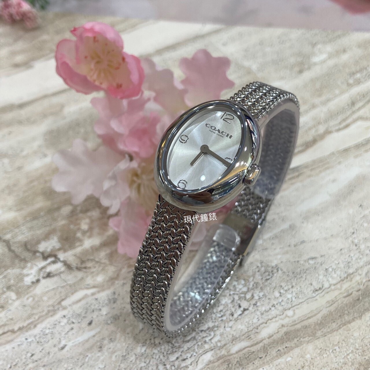 【COACH】 Sammy 橢圓簡約編織米蘭女錶CO14504566 23mm 現代鐘錶