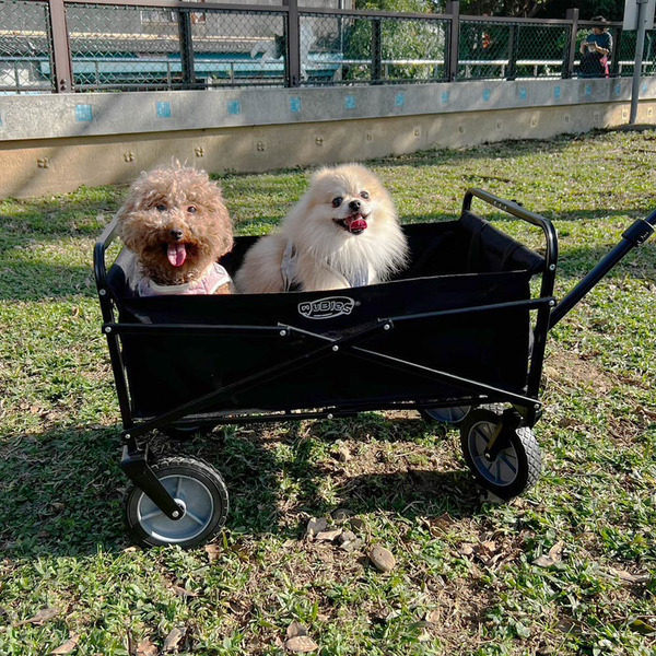 Qubies 折疊置物手拉車 黑色