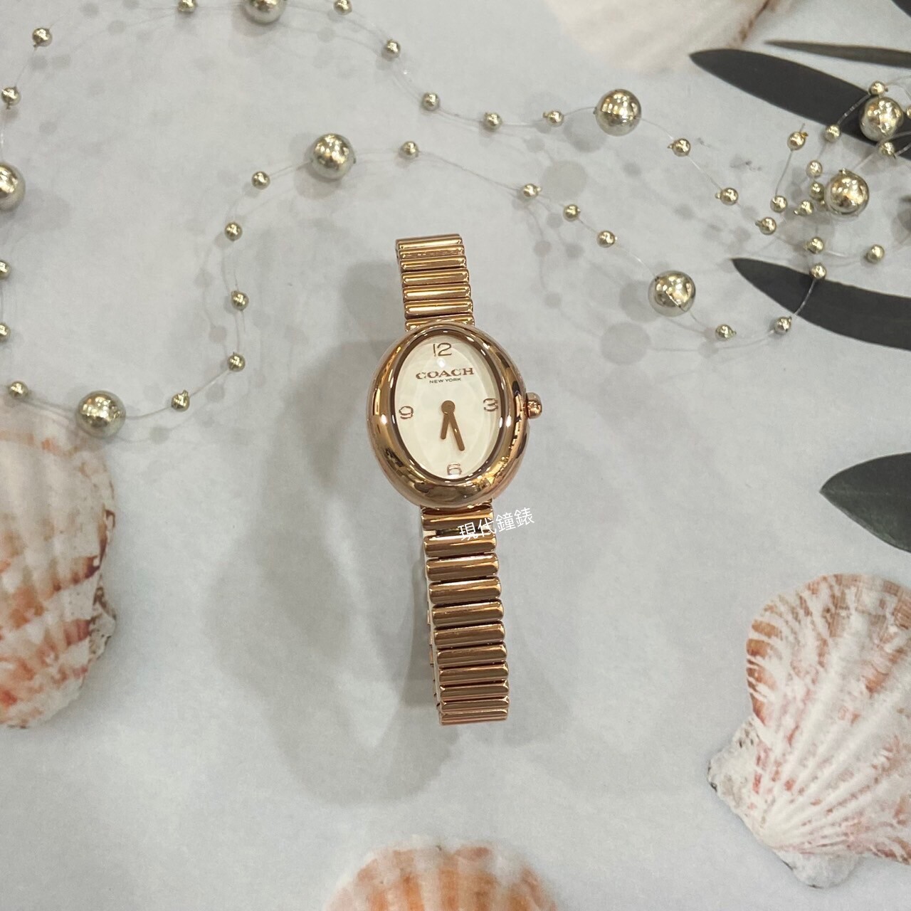 【COACH】 橢圓簡約玫瑰金伸縮女錶CO14504572 23mm 現代鐘錶