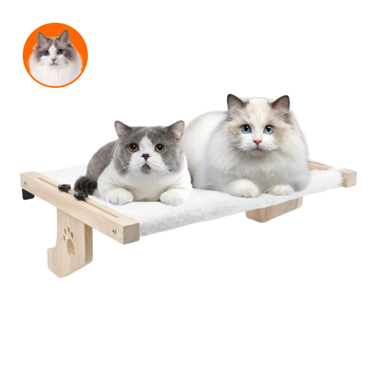 貓用窗邊床
