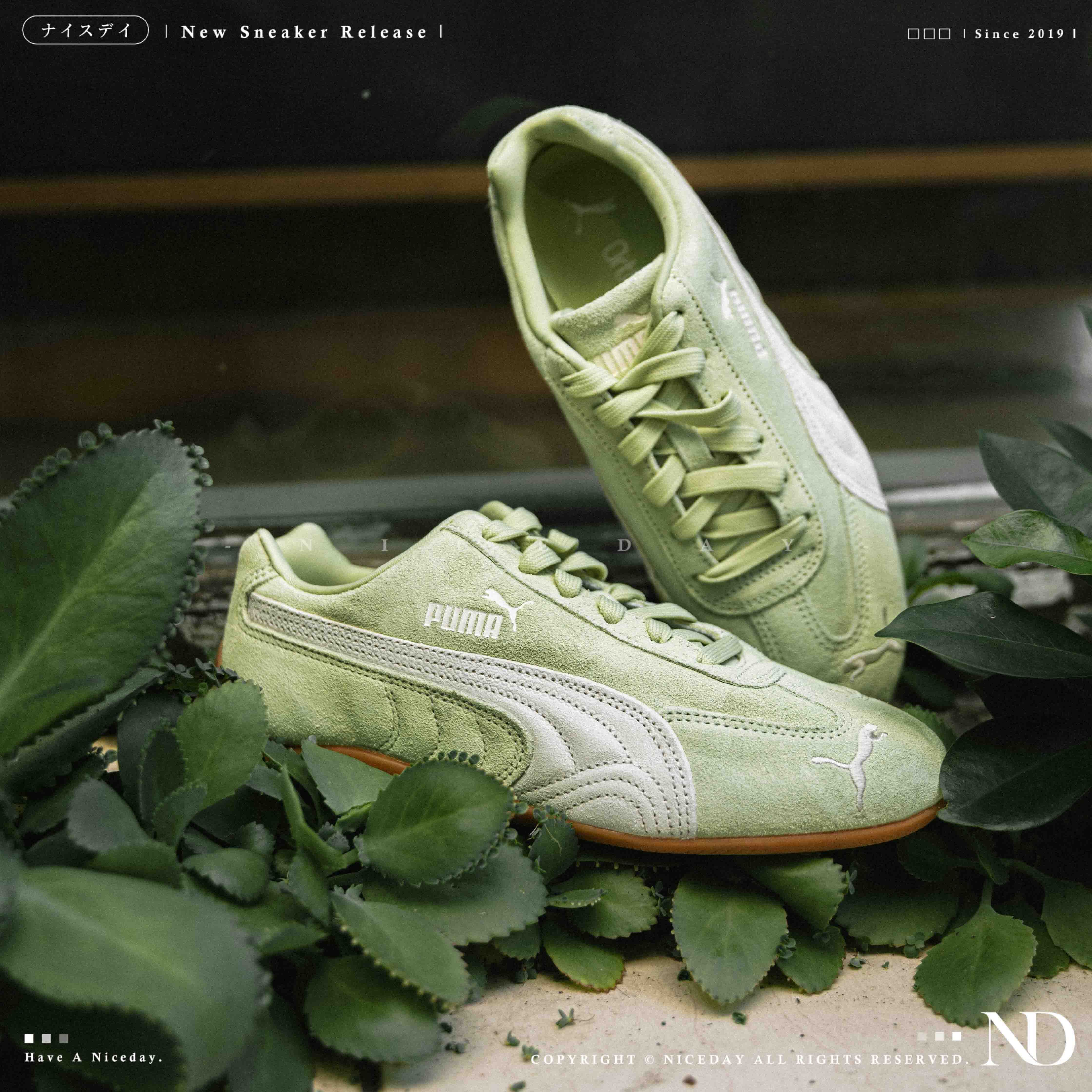 NICEDAY 現貨 PUMA SPEEDCAT OG 草綠色 綠色 綠 森林 奶油 復古 賽車鞋 男女鞋 398846-48