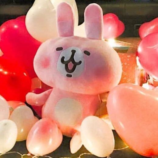 後車廂套組丨可愛小布偶