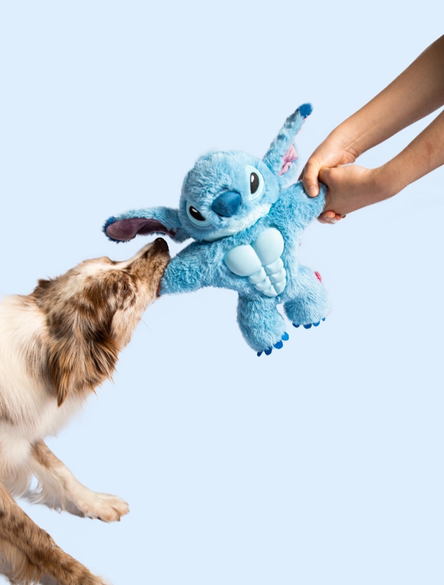 GiGwi 狗玩具 史迪奇限定款 毛绒耐咬 狗狗玩具