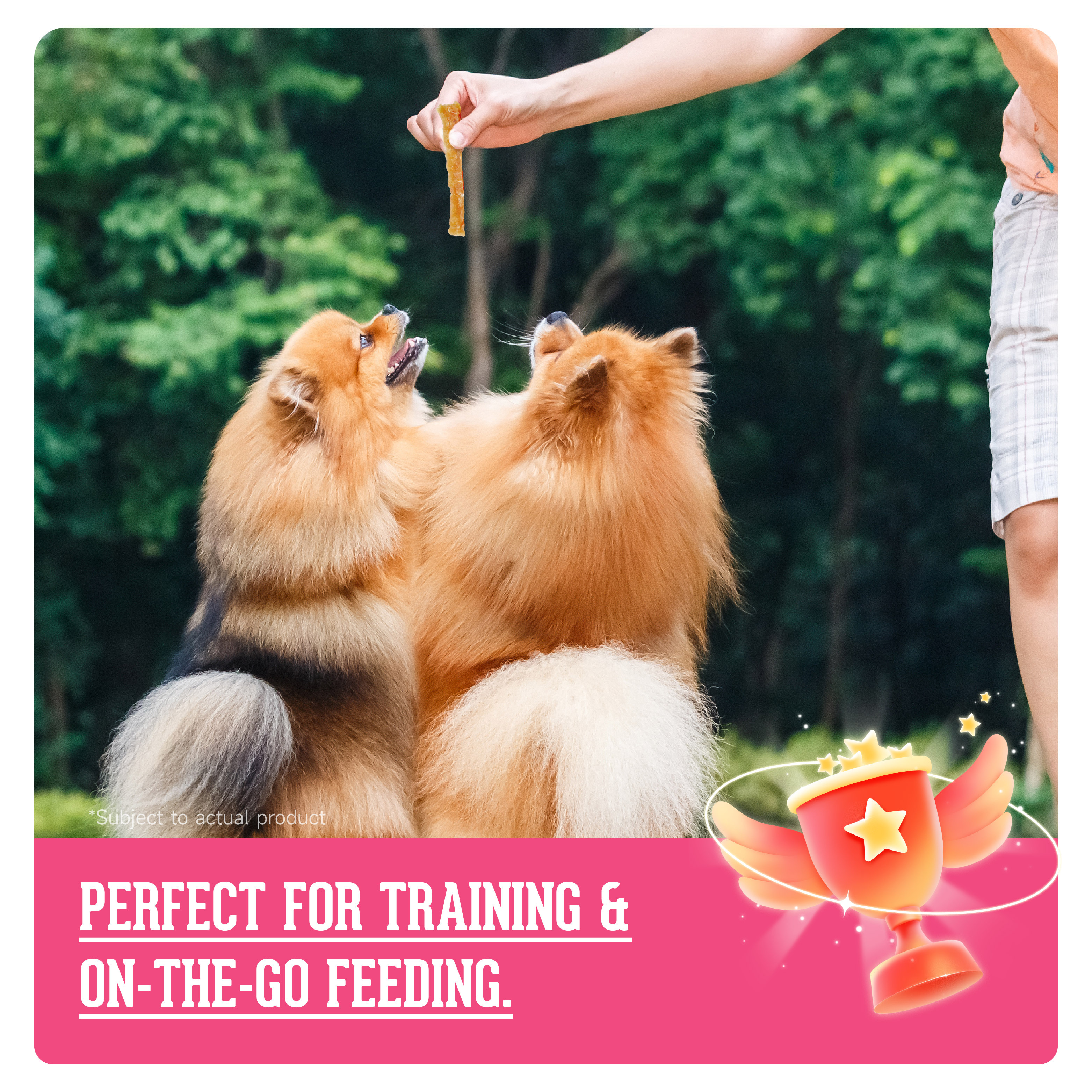 PNR91081 - 鴨肉塊 (70g) 輕便狗小食