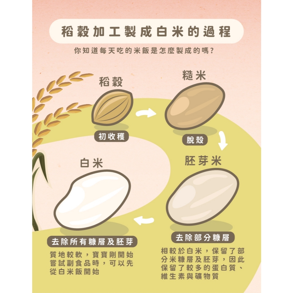 【樂森藥局】飯友食品 胚芽寶寶粥(150g) 2入/盒 (10M+)