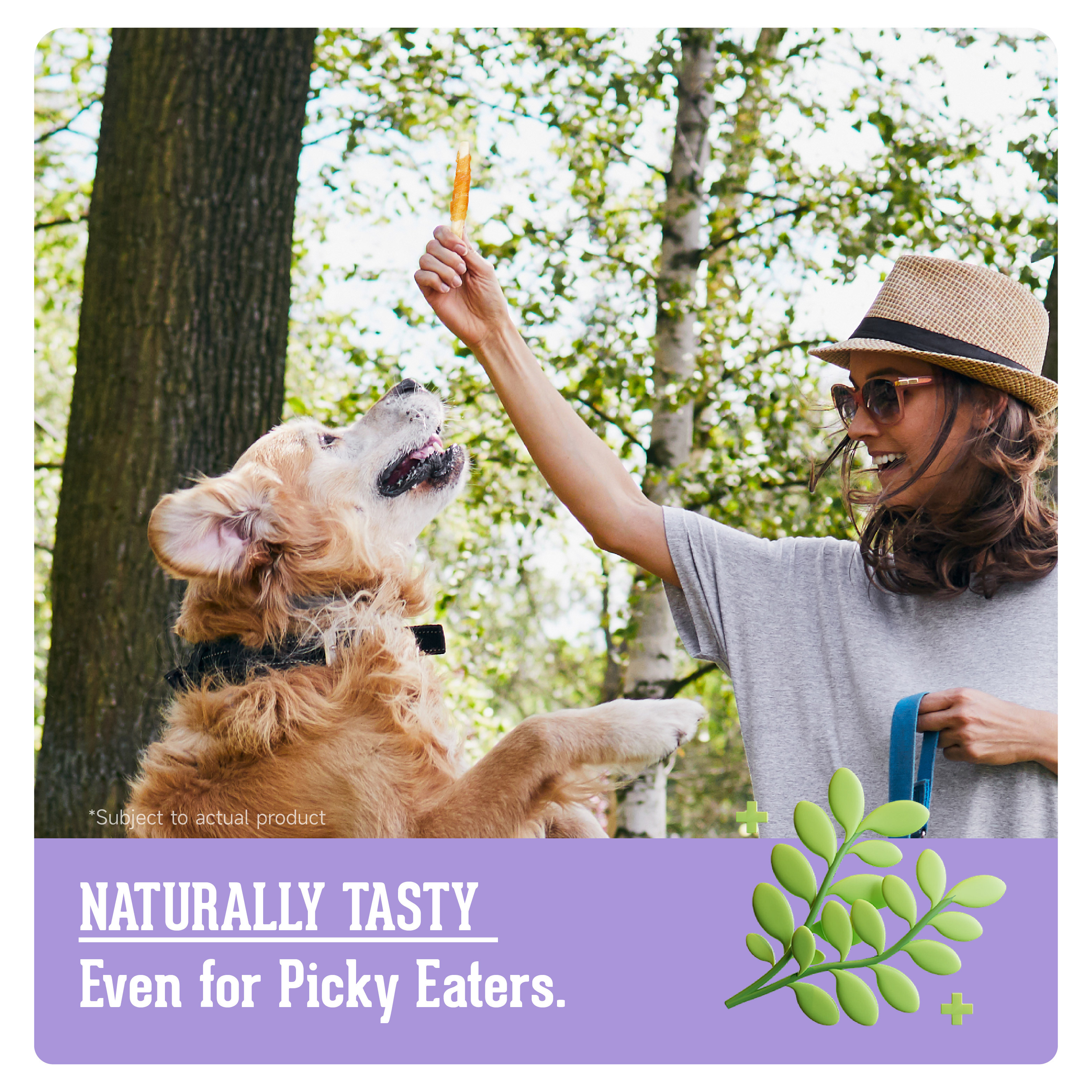 PNR91111 - 雞肉骨條 (70g) 輕便狗小食