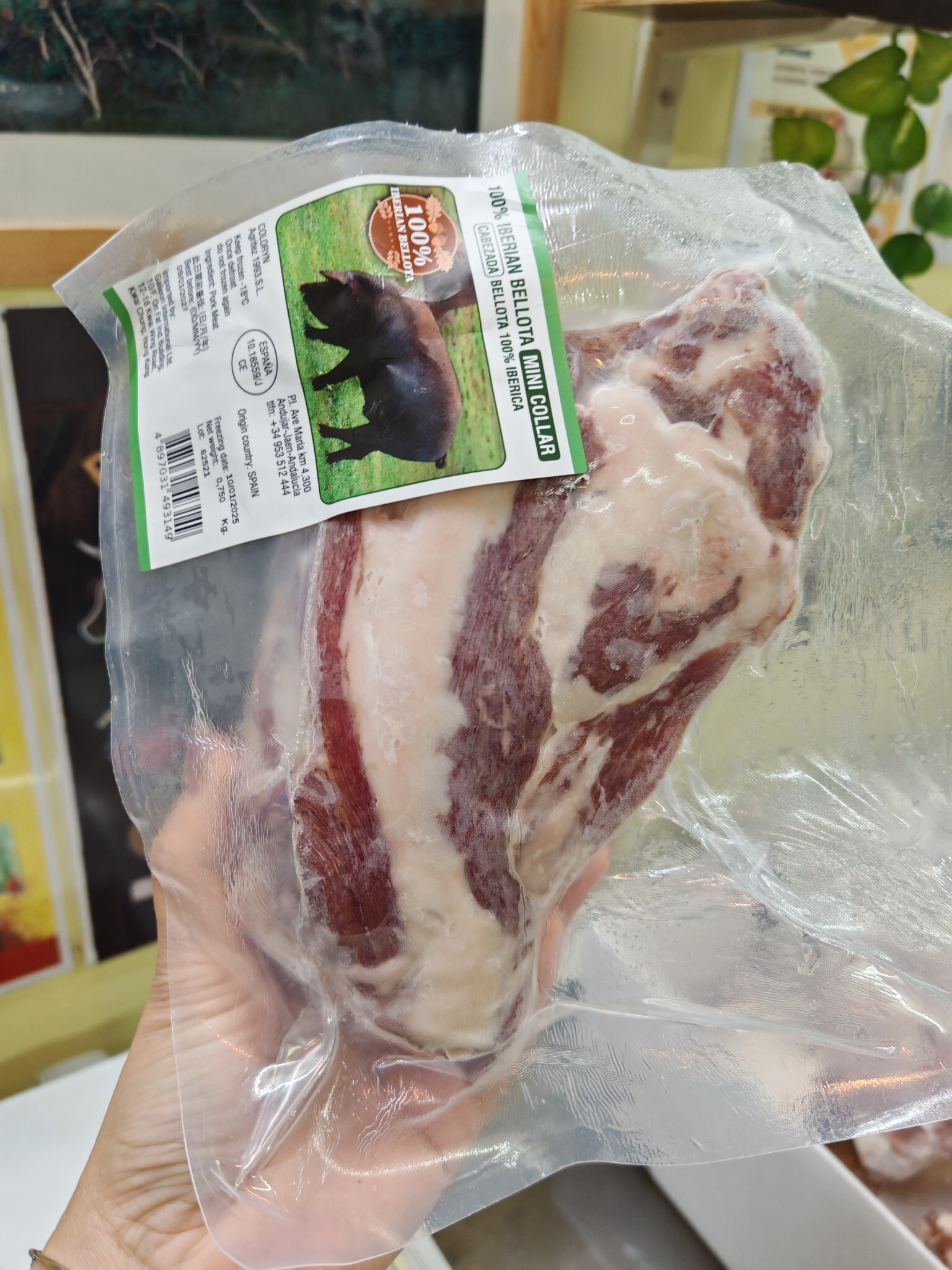 西班牙伊比利亞橡果豬梅頭(原件)