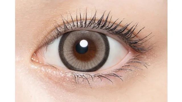 Loveil 1 Day 15.0 Celestia Gray｜日拋彩妝隱形眼鏡｜每盒10片