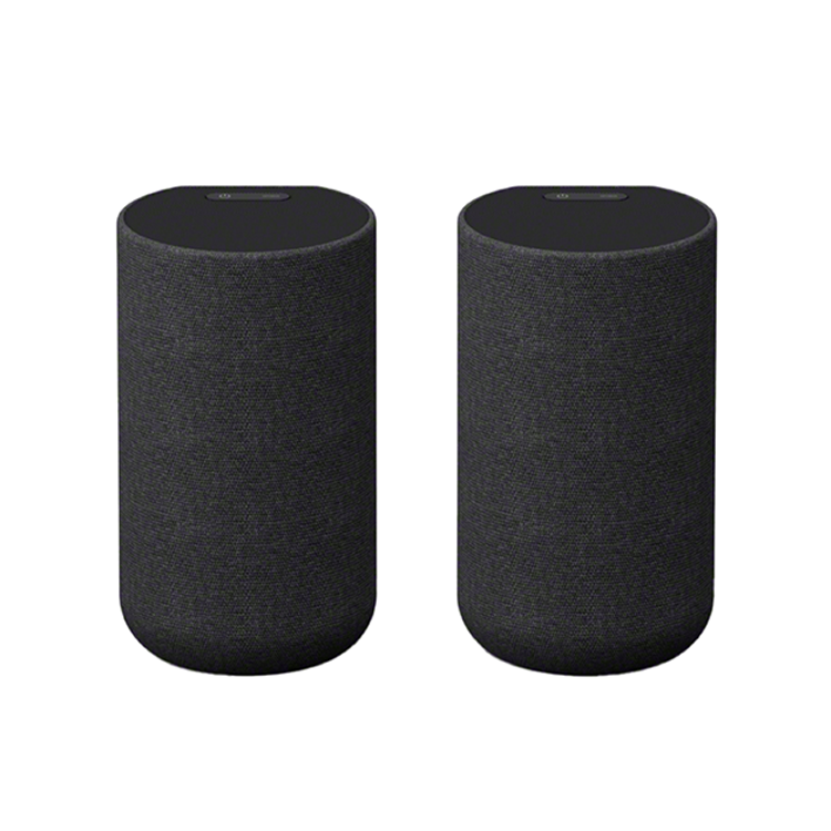 (可議價) SONY 索尼 無線後環繞揚聲器 (SA-RS5)