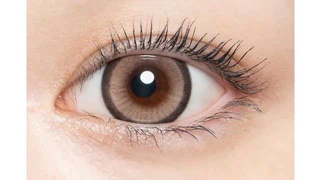 Loveil 1 Day 15.0 Arcadia Gold｜日拋彩妝隱形眼鏡｜每盒10片