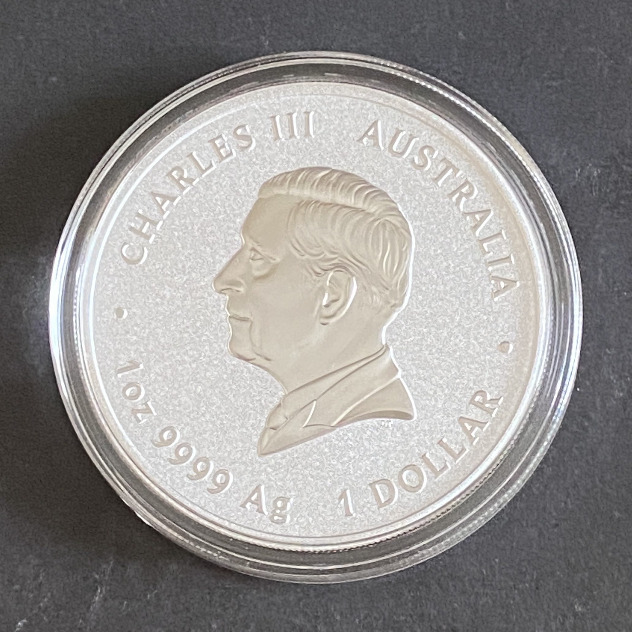 2025 Australian Year of the Snake (with colour) 1 oz Silver Coin (Third Series) 99.99% silver