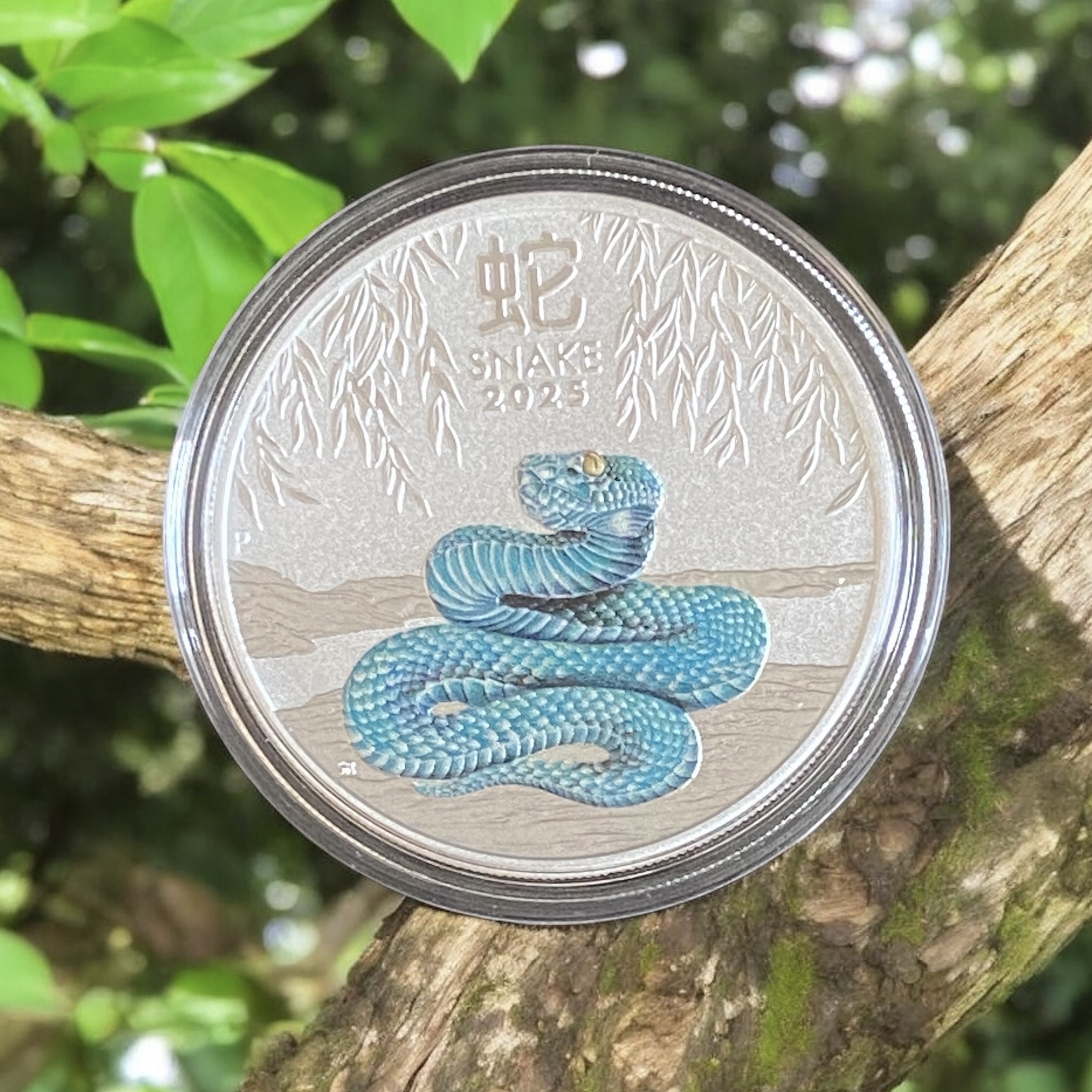 2025 Australian Year of the Snake (with colour) 1 oz Silver Coin (Third Series) 99.99% silver