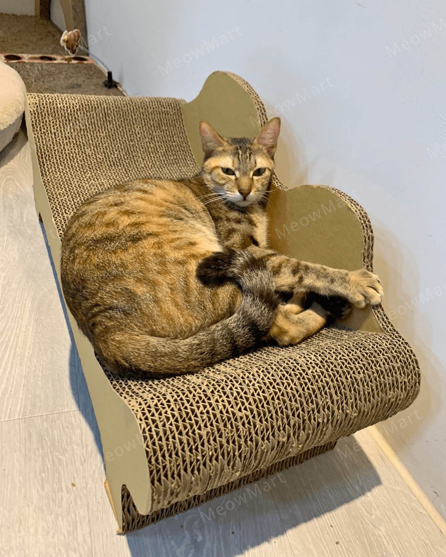 台灣CO.CO.CAT酷酷貓｜貴貓椅貓抓板