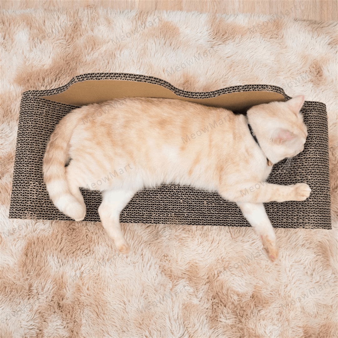 台灣CO.CO.CAT酷酷貓｜貴貓椅貓抓板