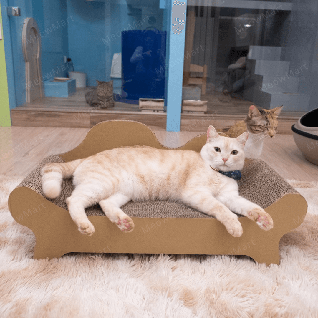 台灣CO.CO.CAT酷酷貓｜貴貓椅貓抓板