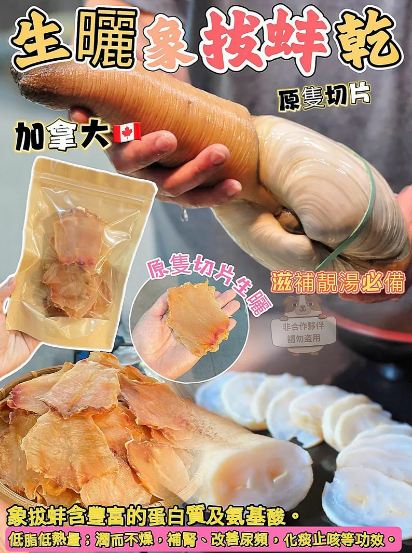 Z161 加拿大生曬象拔蚌乾 100g $98