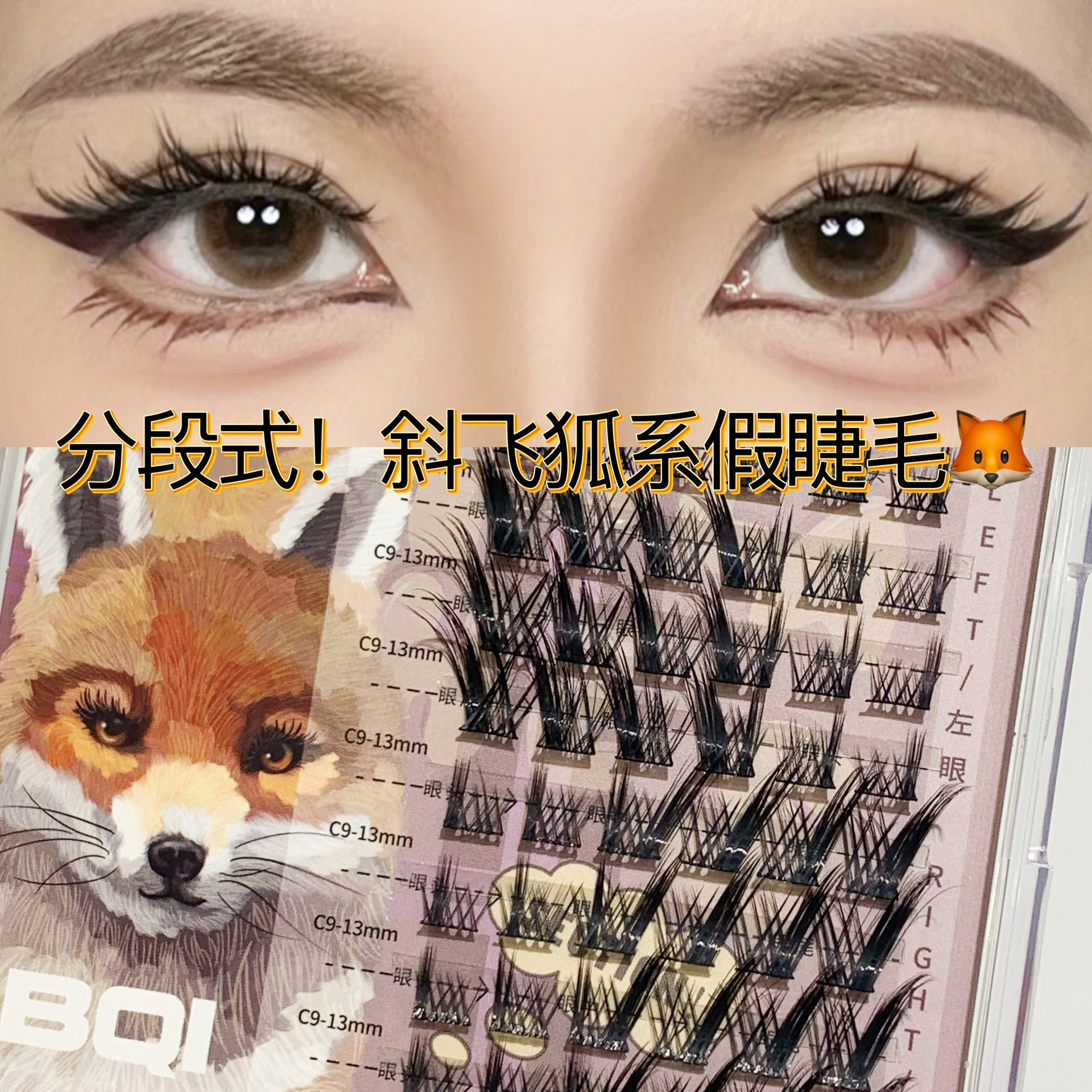 BQI Animal Series Segment False Eyelashes