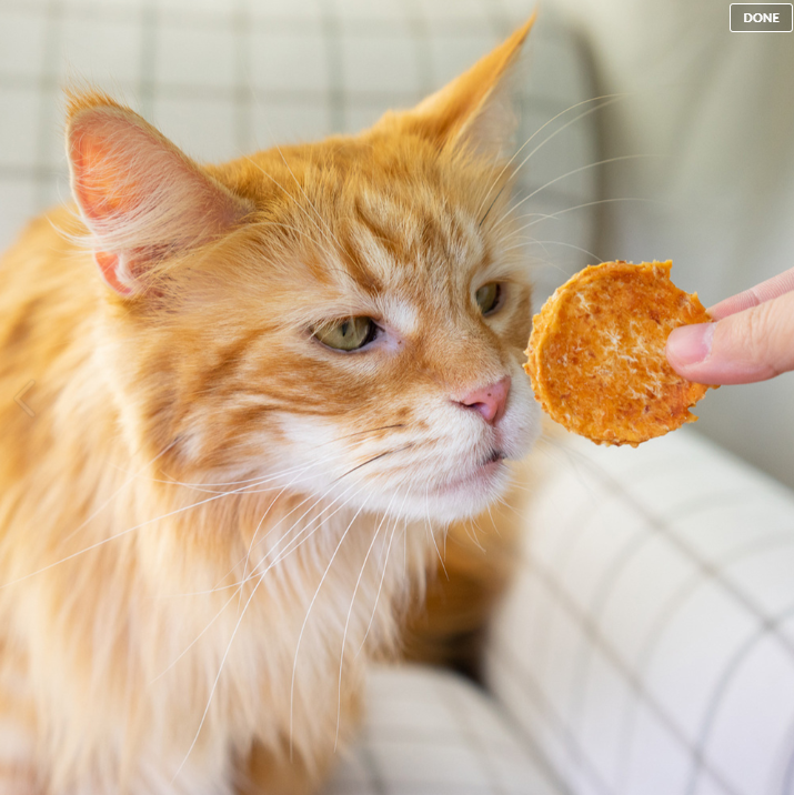 Hyperr超躍 犬貓零食 | 亞麻籽雞肉餅 手作零食