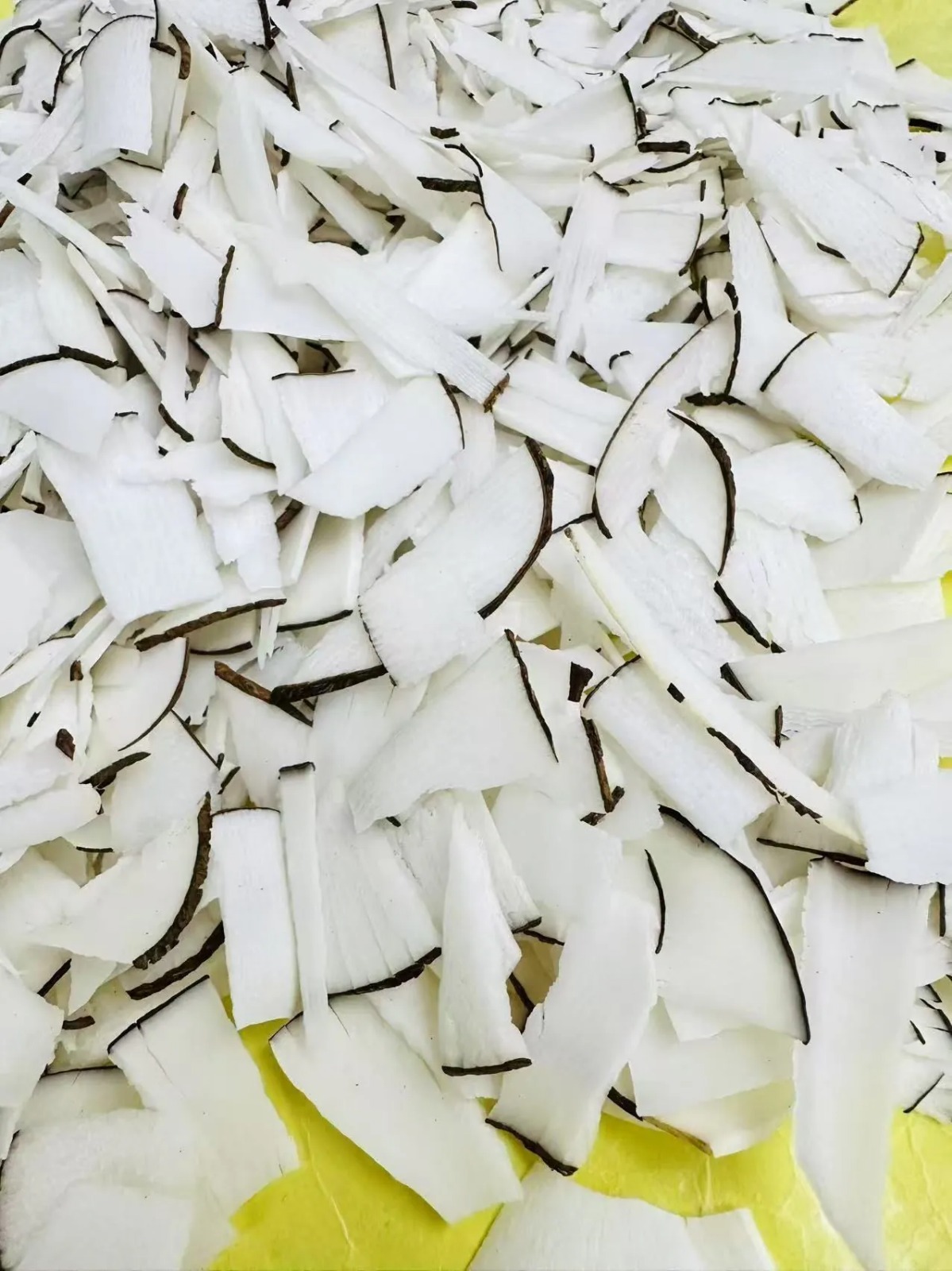 【直播】LL081018 正宗非洲塞舌爾海底椰 （破10年新低）