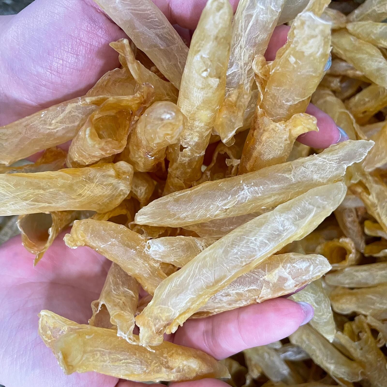 【直播】LL081059 抵食花膠筒100g