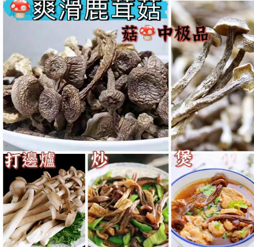 Z167 爽滑鹿茸菇半斤 $89