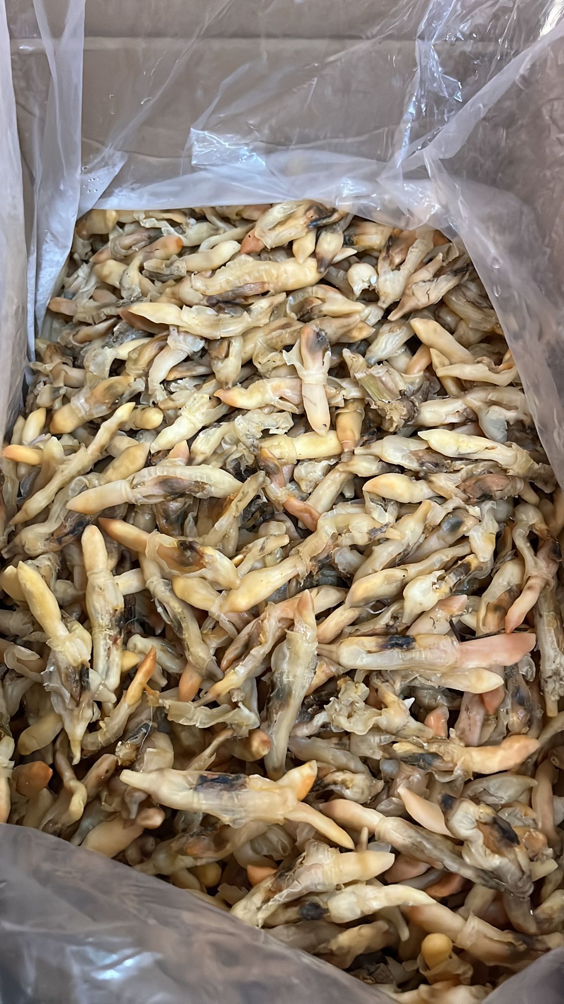 Z164 特級生曬黄金蟶子乾 (454g/1磅裝) $89