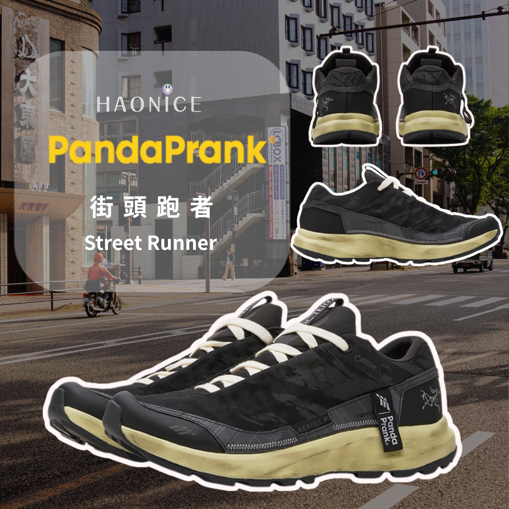 【HAO NICE】熊貓惡作劇系列 ❗️配合FAKEBUSTERS驗鞋 ❗️ Arcteryx始祖鳥 Aerios FL GTX街頭跑者系列 掠影訂製 低筒跑步鞋🔥
