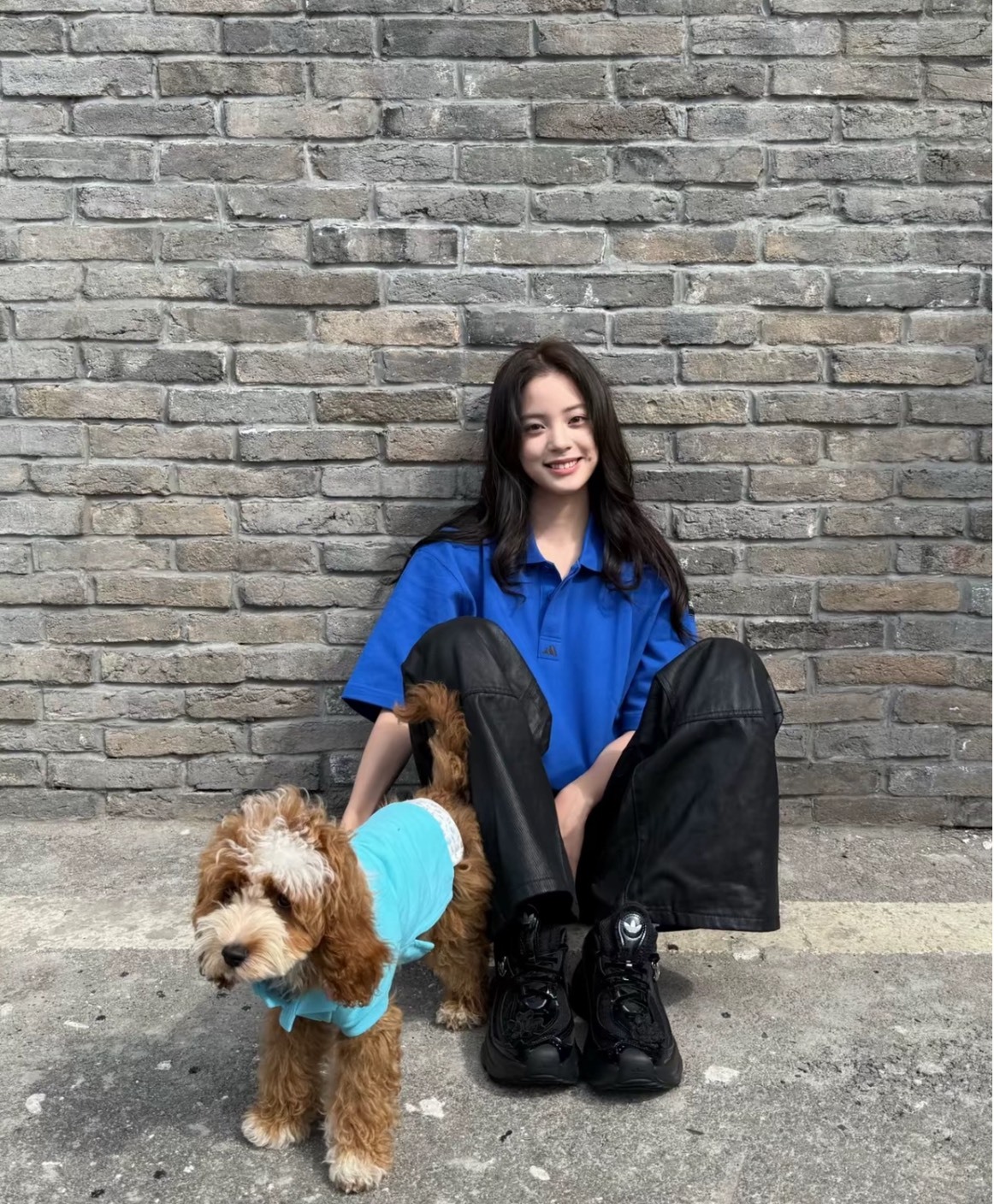 Adidas Logo 純色 短袖 Polo衫 男款 裝備藍 歐陽娜娜同款  JC8232 Aug25